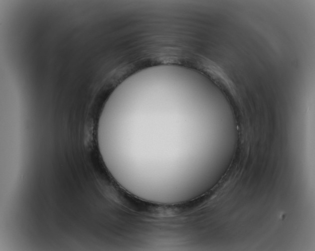 X0000088470073200705220949