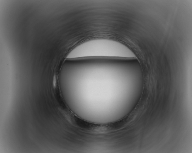 X0000088470075200705220949