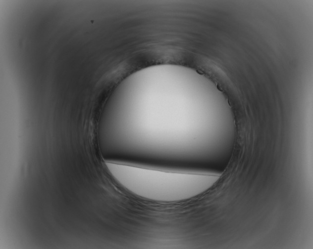 X0000088470077200705220949