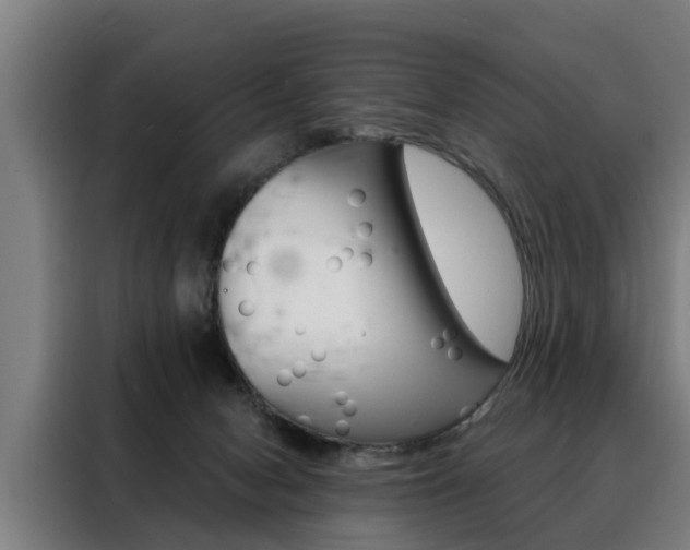 X0000088470078200705220949