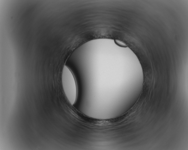 X0000088470087200705220949