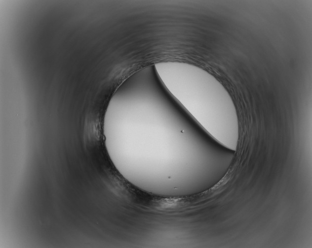 X0000088470090200705220949