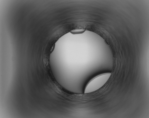 X0000088470091200705220949