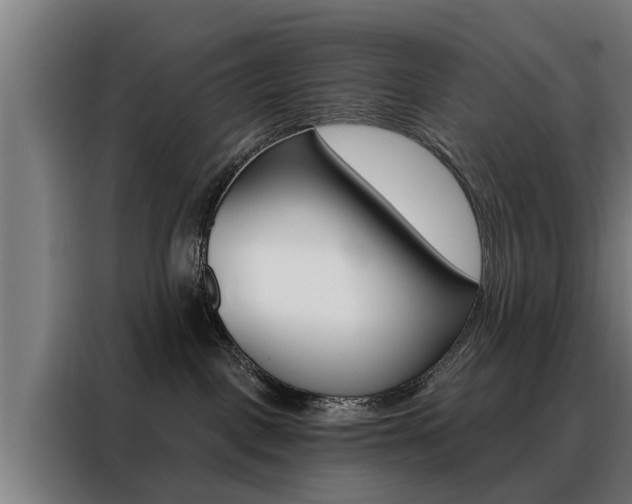 X0000088470093200705220949