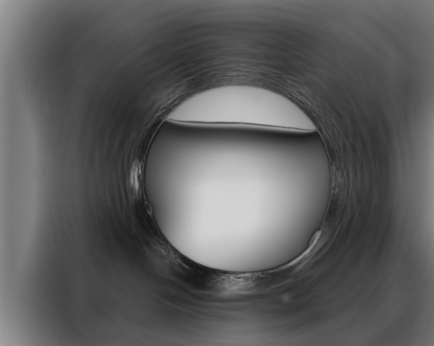 X0000088470094200705220949