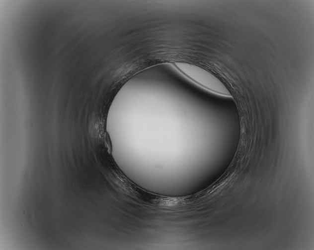 X0000088470096200705220949