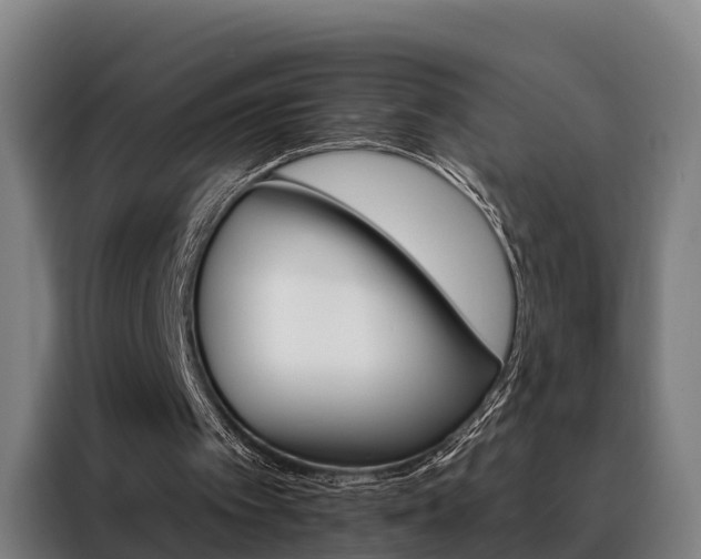 X0000088470097200705220949