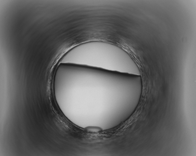 X0000088470098200705220949
