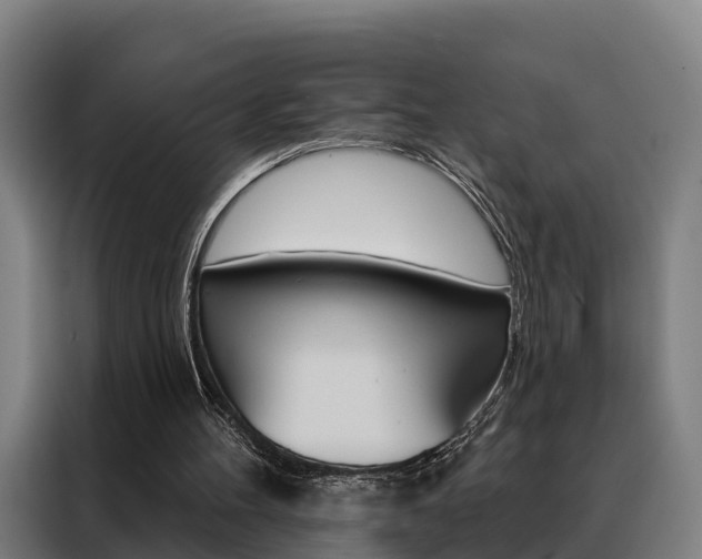 X0000088470100200705220948