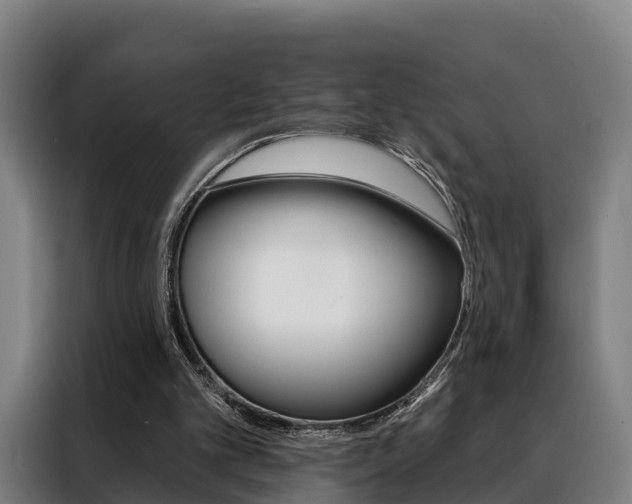 X0000088470101200705220948