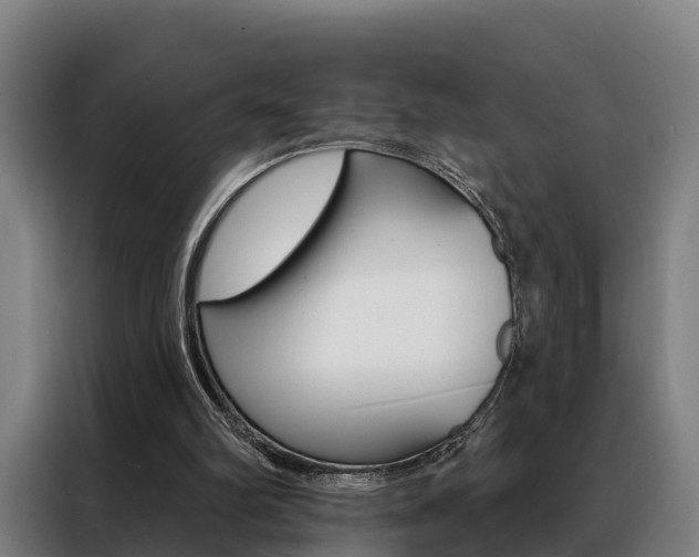 X0000088470102200705220948