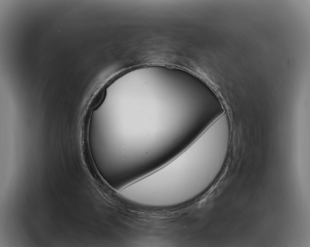 X0000088470103200705220948