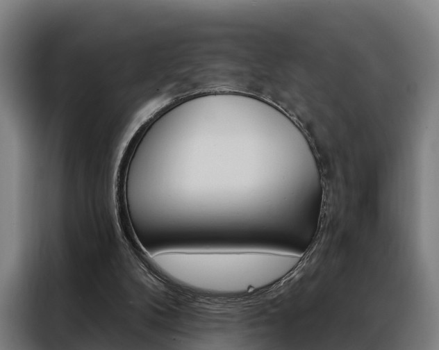 X0000088470104200705220948