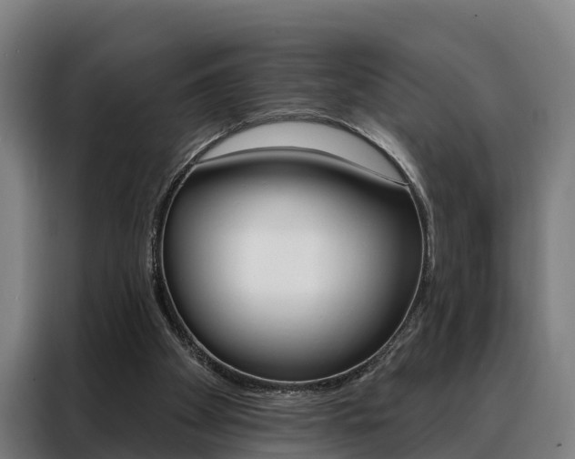 X0000088470105200705220948