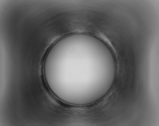 X0000088470106200705220948