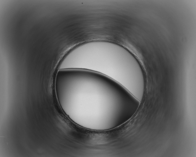 X0000088470107200705220948