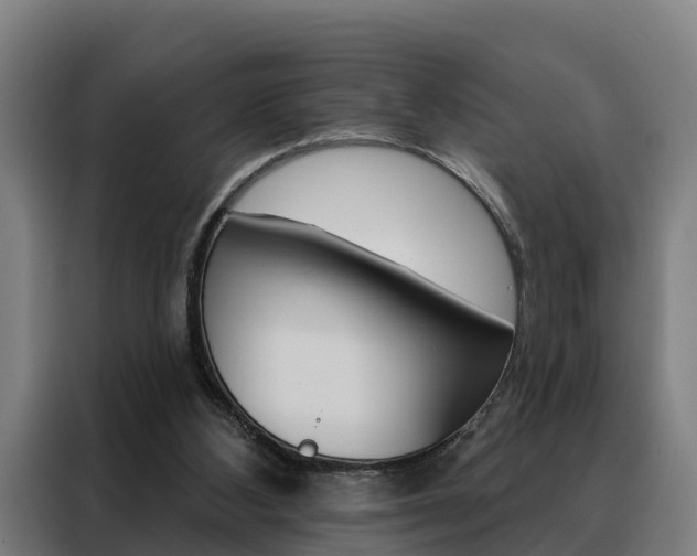 X0000088470108200705220948