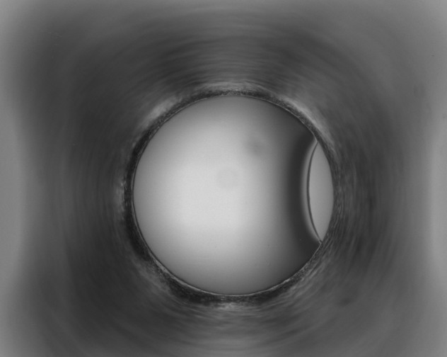 X0000088470111200705220948