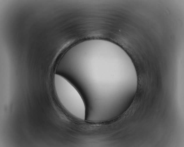 X0000088470112200705220948
