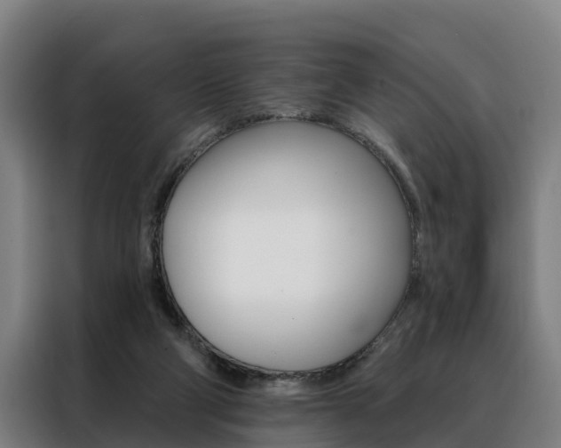 X0000088470114200705220948