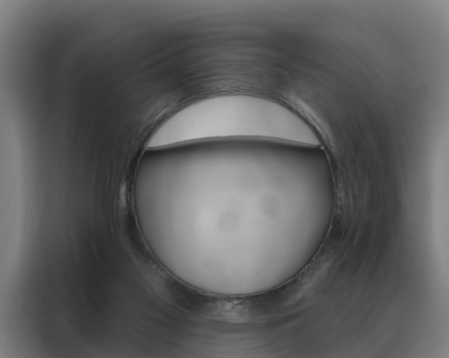 X0000088470117200705220948