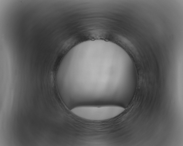 X0000088470121200705220948