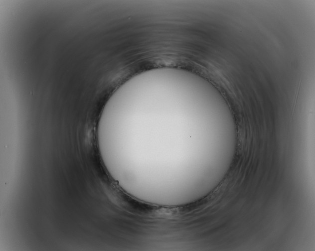 X0000088470126200705220948