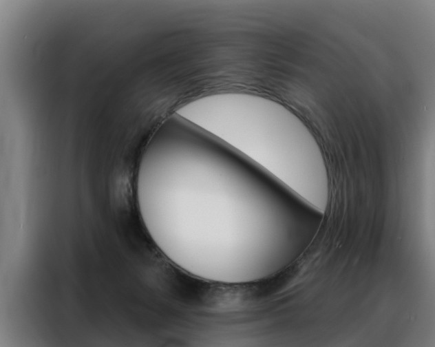 X0000088470127200705220948
