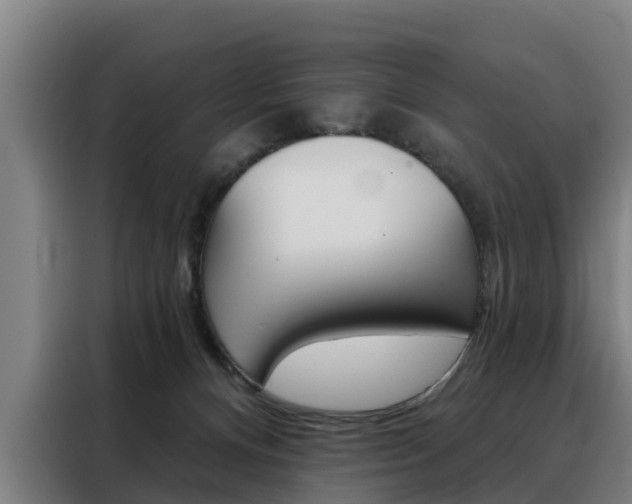 X0000088470128200705220948