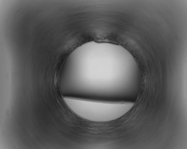 X0000088470129200705220948