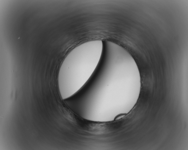 X0000088470132200705220948