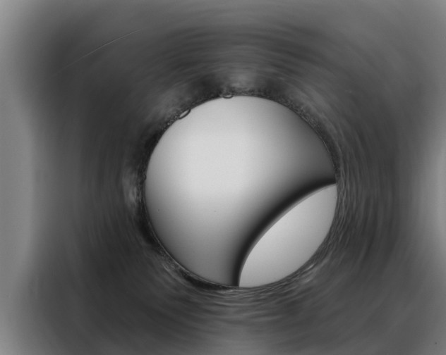X0000088470135200705220948