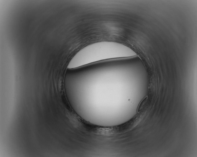 X0000088470139200705220948