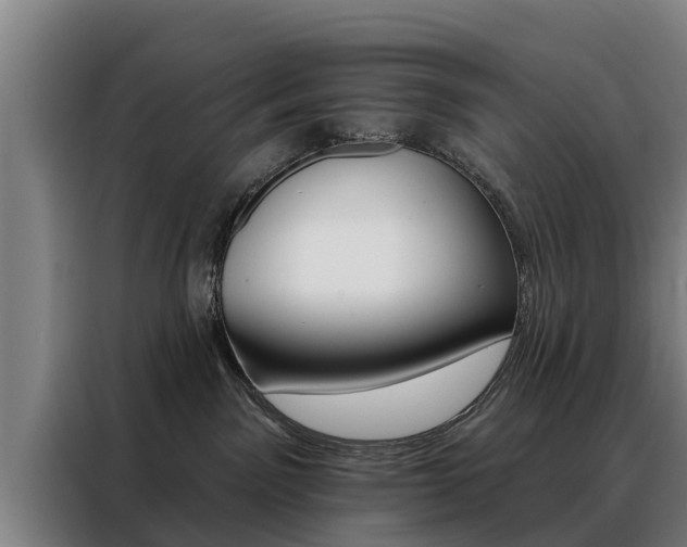 X0000088470141200705220948