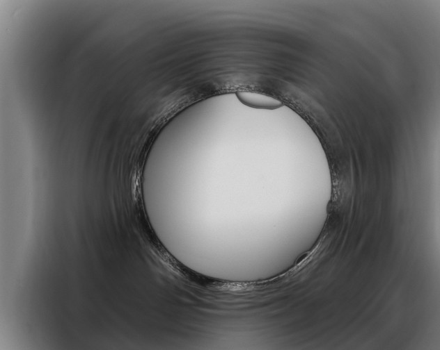 X0000088470142200705220948
