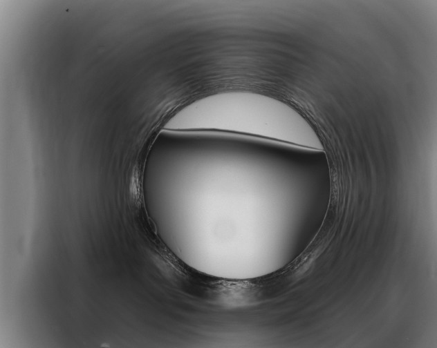 X0000088470143200705220948