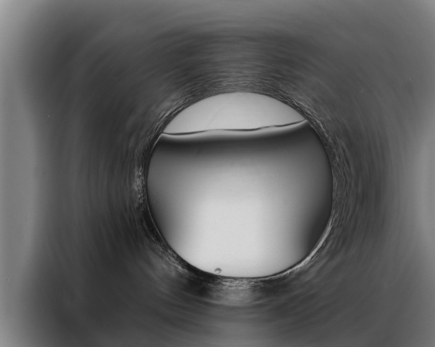 X0000088470144200705220948