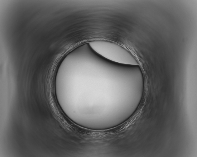 X0000088470145200705220947