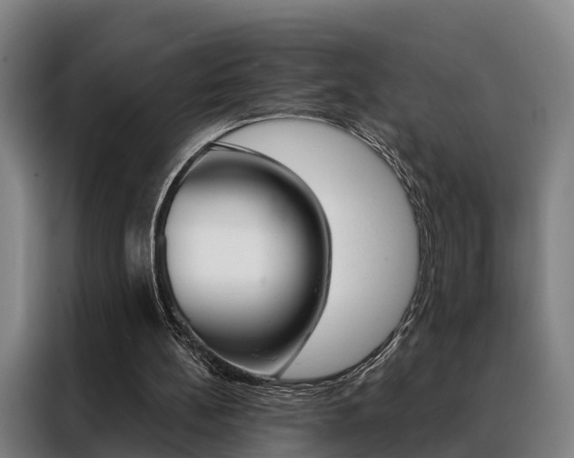 X0000088470148200705220947