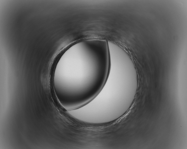 X0000088470150200705220947
