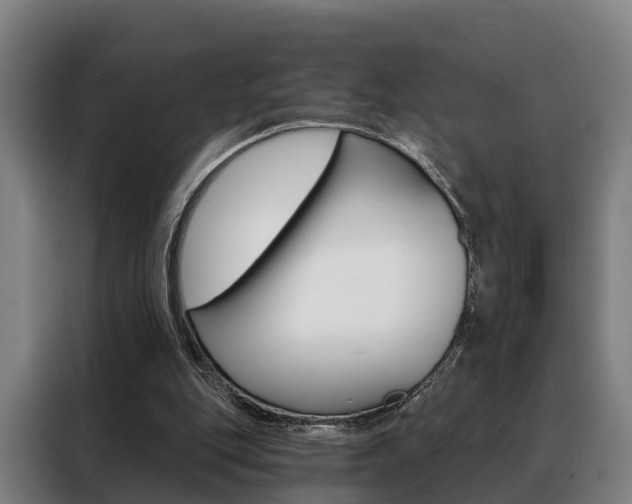 X0000088470151200705220947