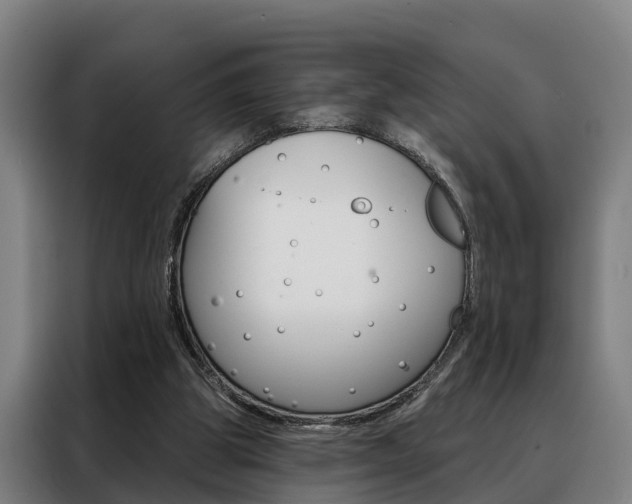 X0000088470153200705220947