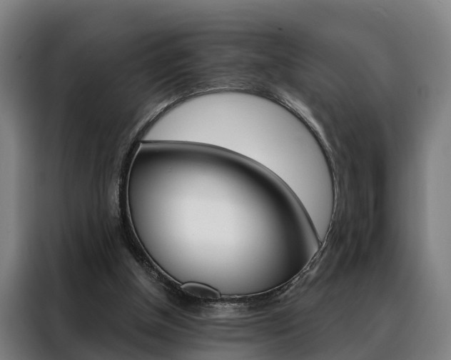 X0000088470154200705220947
