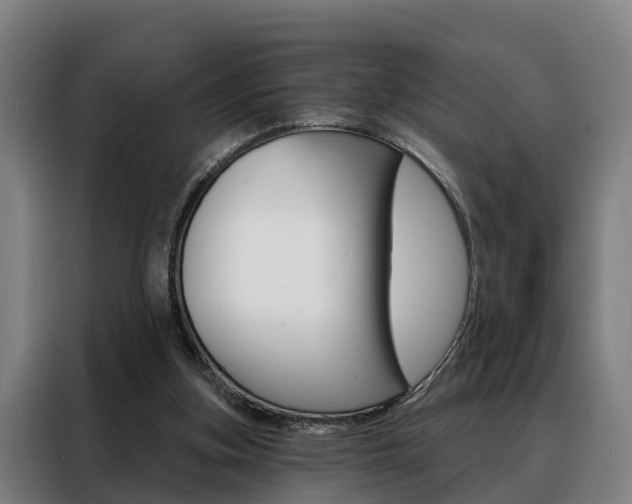 X0000088470155200705220947