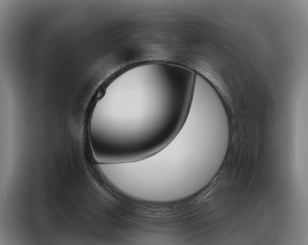 X0000088470156200705220947