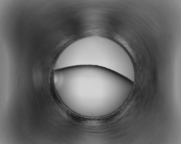 X0000088470161200705220948