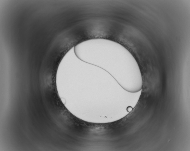 X0000088470162200705220948