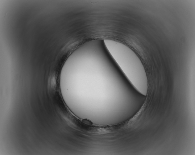 X0000088470166200705220948