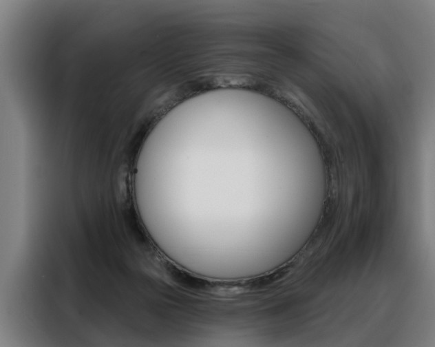 X0000088470169200705220948