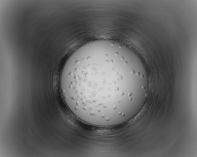 X0000088470171200705220948
